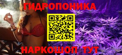 прущие крисы Заводоуковск