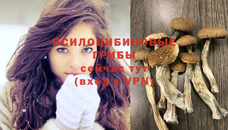 Псилоцибиновые грибы Magic Shrooms Лысьва