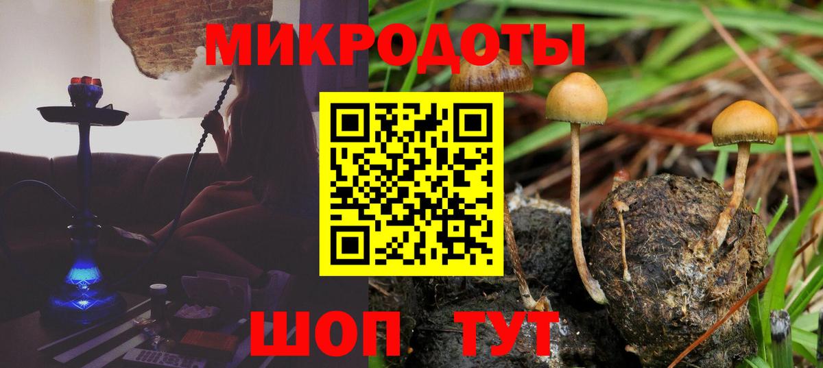 Лысьва  Псилоцибиновые грибы MAGIC MUSHROOMS  Вход с VPN 